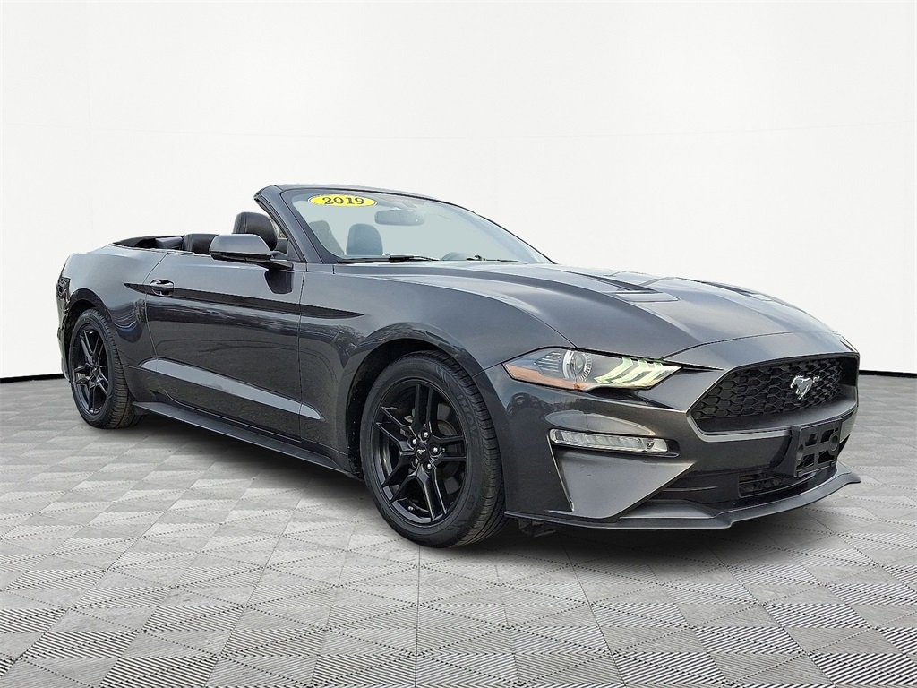 2019 Ford Mustang Mach 1's photo