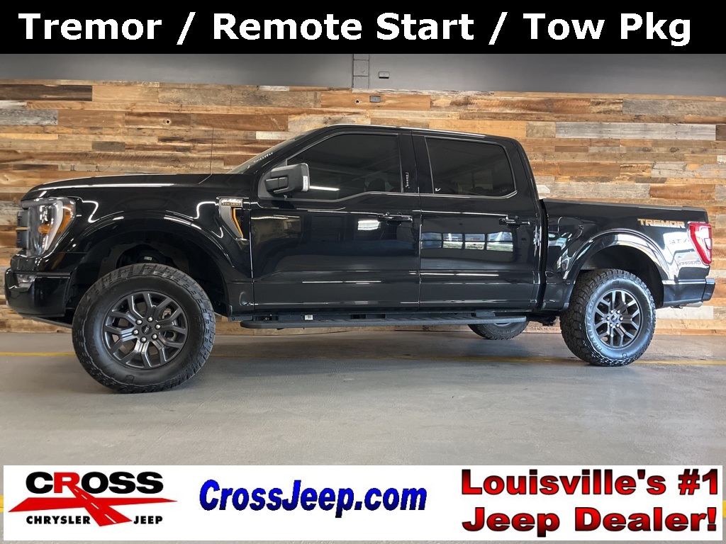 2021 Ford F-150 Tremor's photo