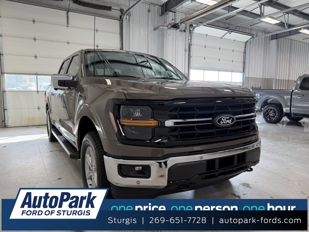 2025 Ford F-150 XLT's photo