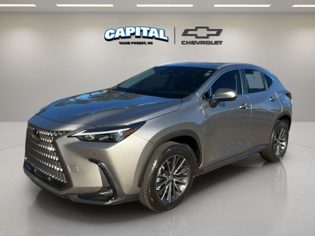 2023 Lexus NX 350's photo
