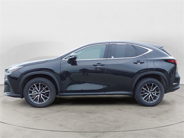 2024 Lexus NX 350h Premium photo 2