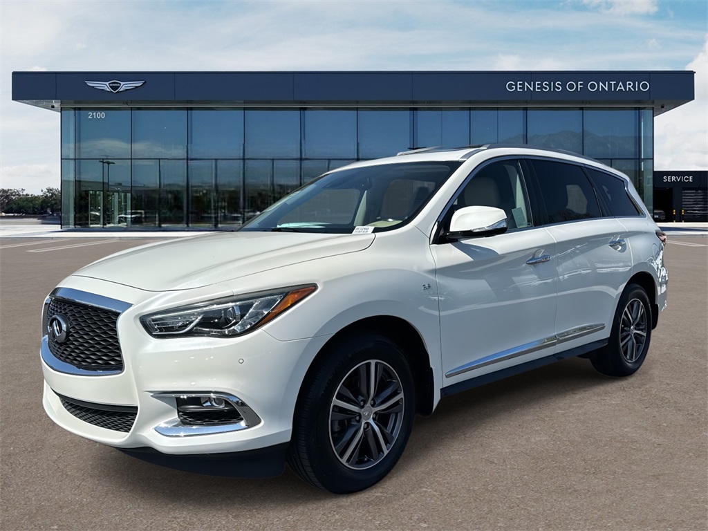 2019 Infiniti QX60 Luxe photo 3