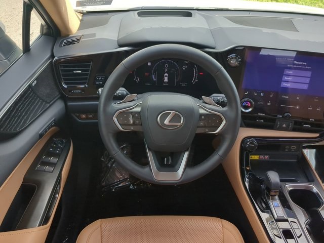 2025 Lexus NX 350 Luxury photo 14