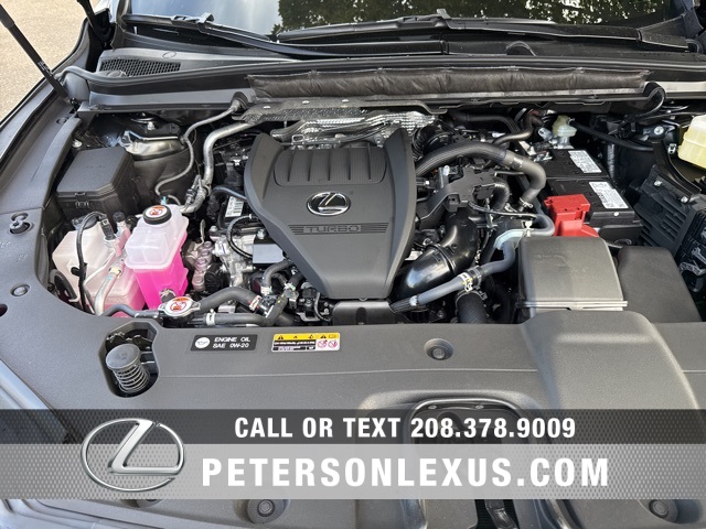 2025 Lexus RX 350 Premium photo 9