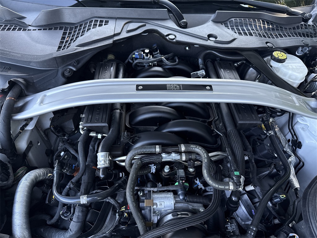 2022 Ford Mustang Mach 1 photo 12
