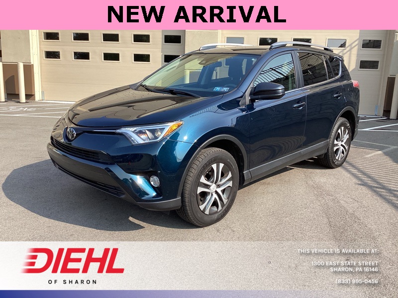 2017 Toyota RAV4 LE Sport photo 3