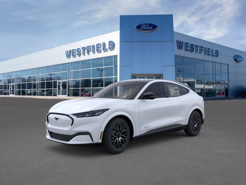 2025 Ford Mustang Mach-E Premium AWD's photo