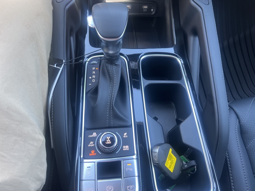 2025 Kia Telluride SX Prestige X-Line photo 21