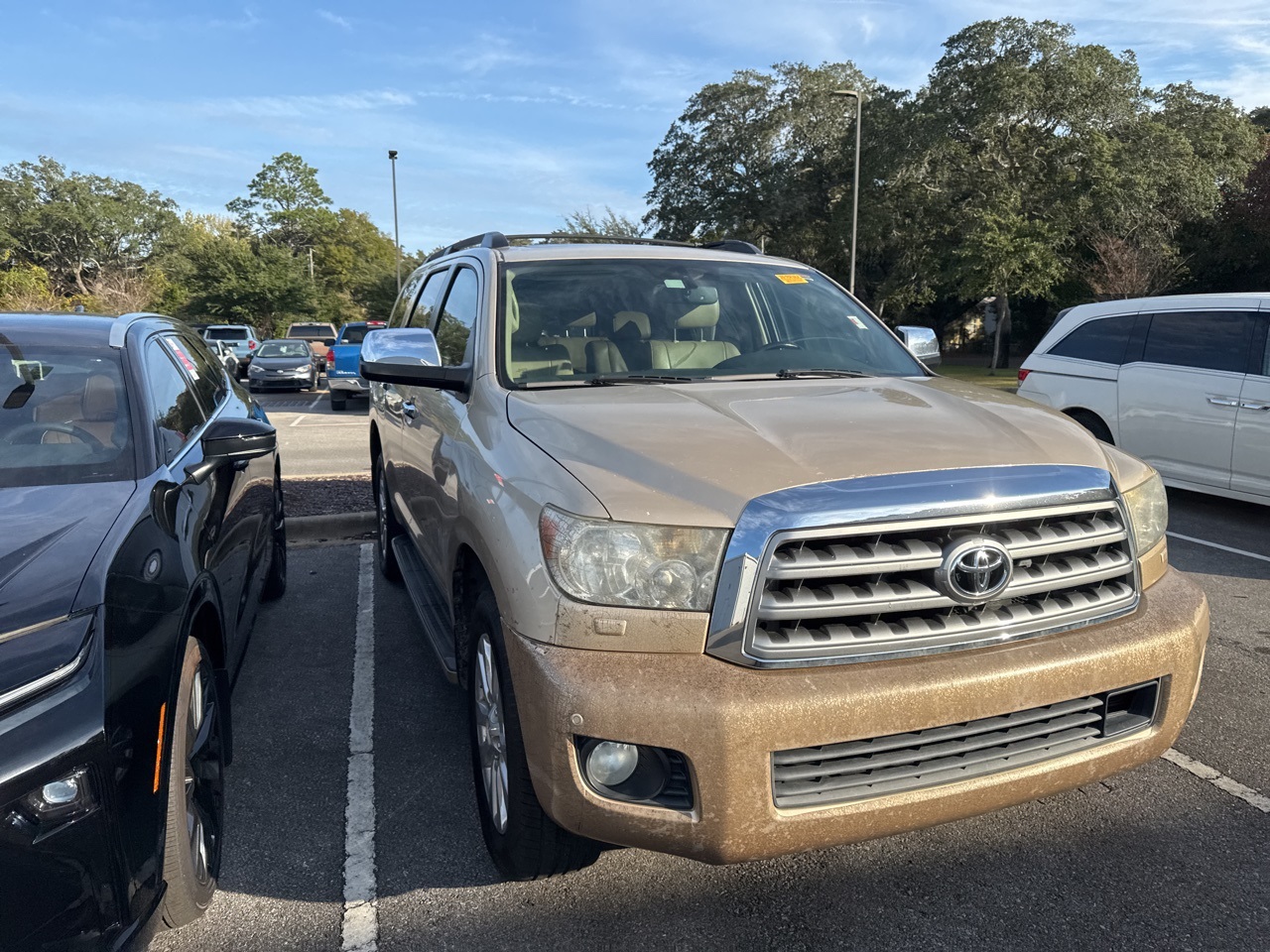 2011 Toyota Sequoia Platinum photo 2
