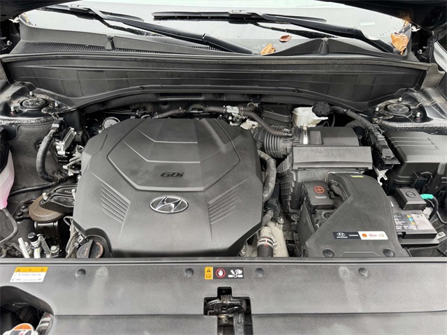 2024 Hyundai Palisade Limited photo 12