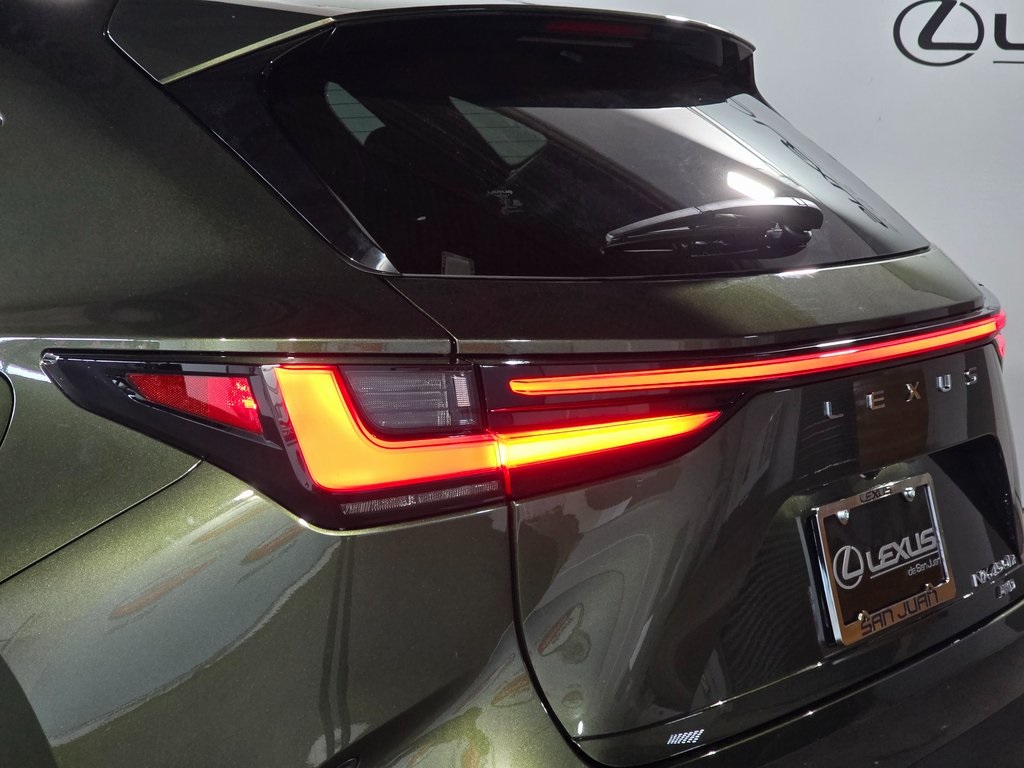 2025 Lexus NX 450h+ F SPORT photo 9