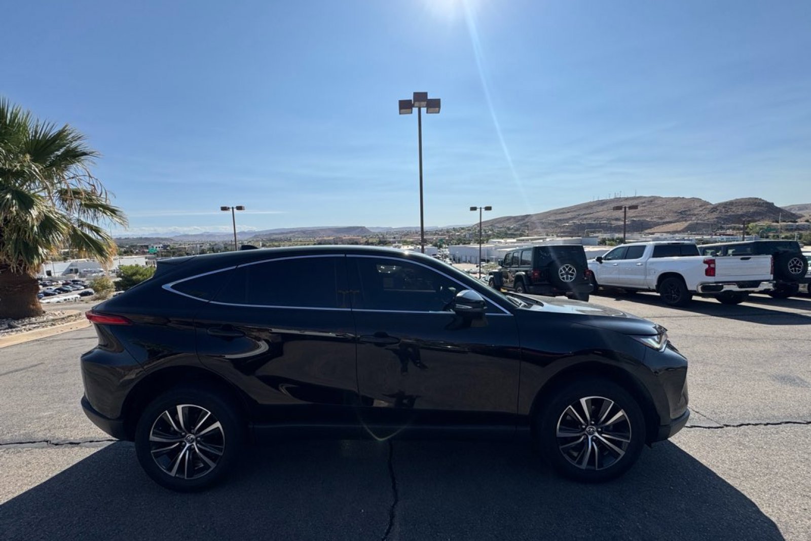 2024 Toyota Venza LE photo 6