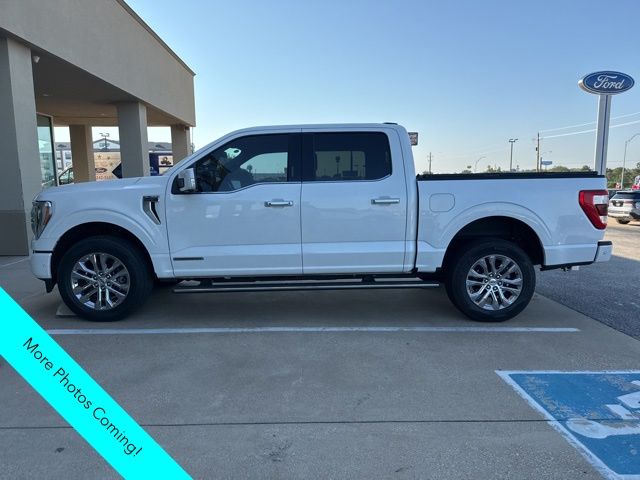 2023 Ford F-150 Limited photo 6