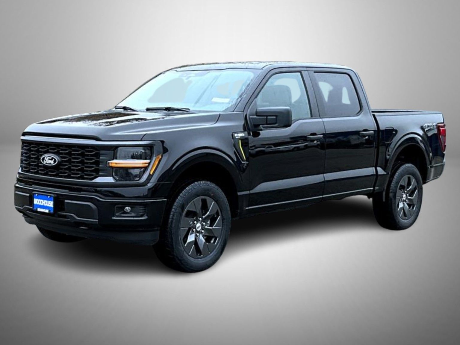 2025 Ford F-150 STX's photo