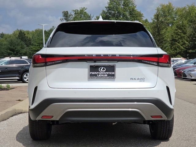 2025 Lexus RX 350 Premium photo 19