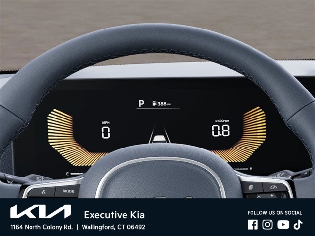 2025 Kia Carnival EX photo 20