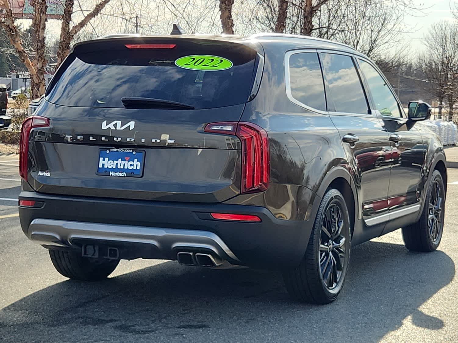 2022 Kia Telluride SX photo 3