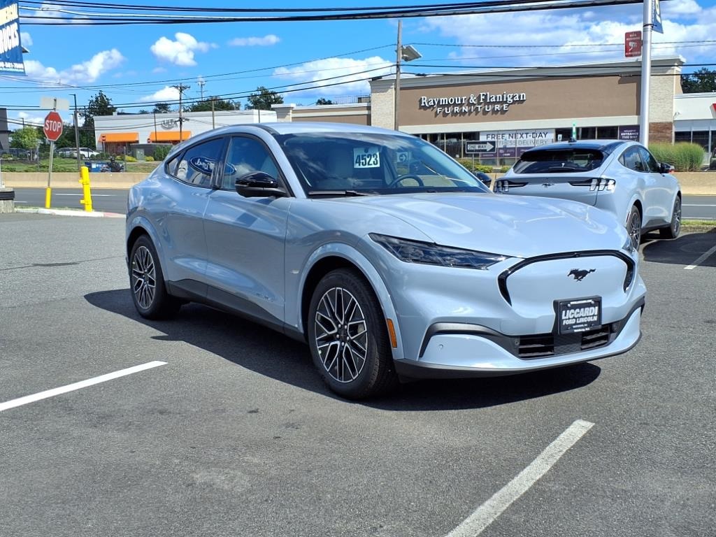 2025 Ford Mustang Mach-E Premium AWD's photo