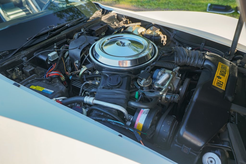 1981 Chevrolet Corvette Base photo 4