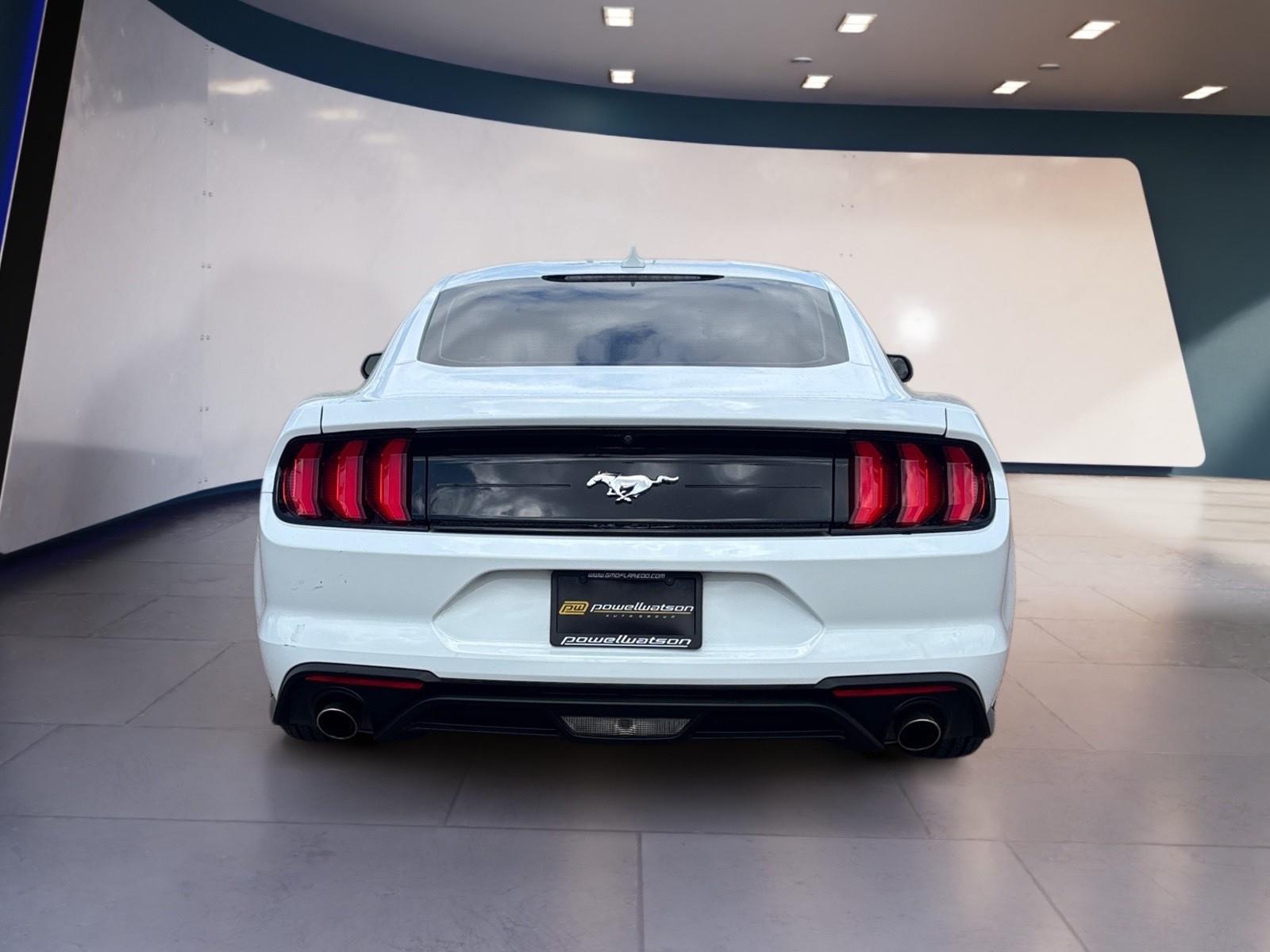 2023 Ford Mustang EcoBoost photo 4