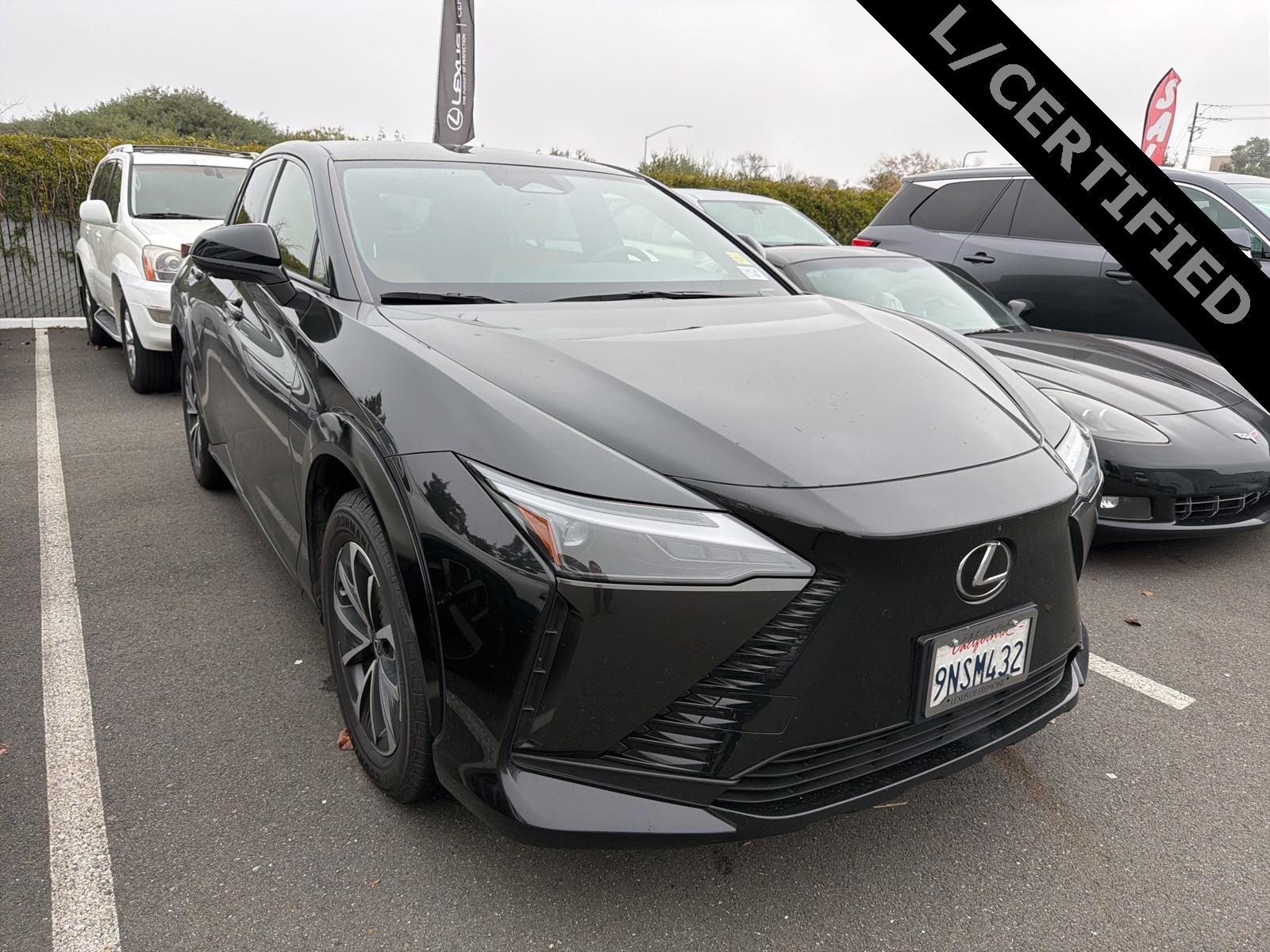 2024 Lexus RZ Premium's photo