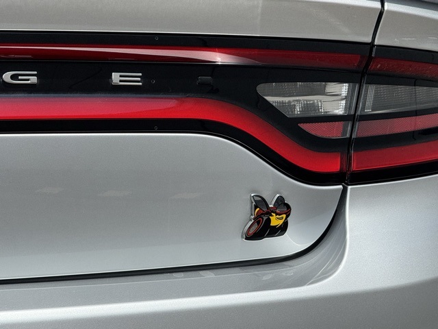 2021 Dodge Charger R/T Scat Pack Widebody photo 14