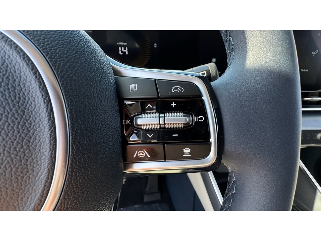 2026 Kia Carnival EX photo 8
