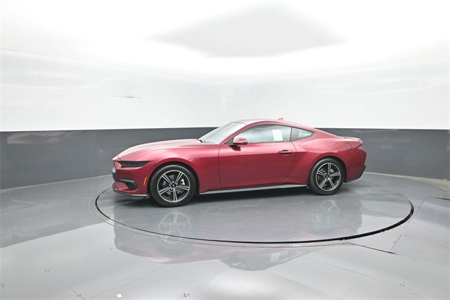 2025 Ford Mustang EcoBoost Premium photo 4