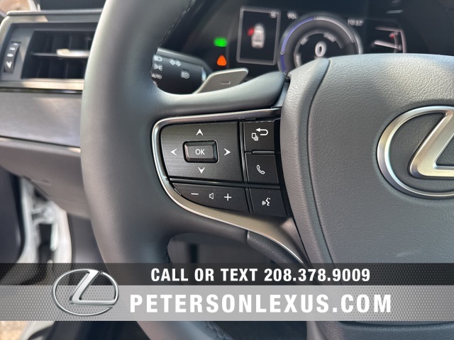 2025 Lexus ES 300h photo 20
