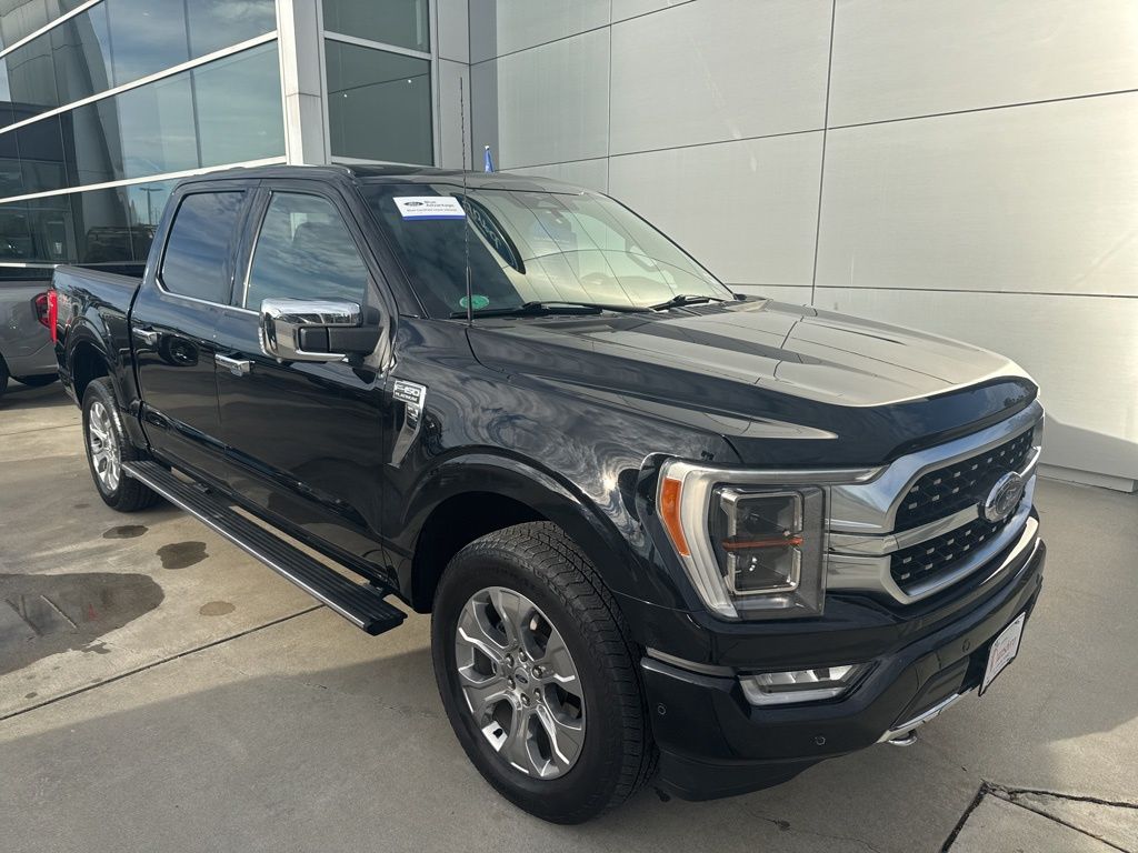 2023 Ford F-150 Platinum's photo