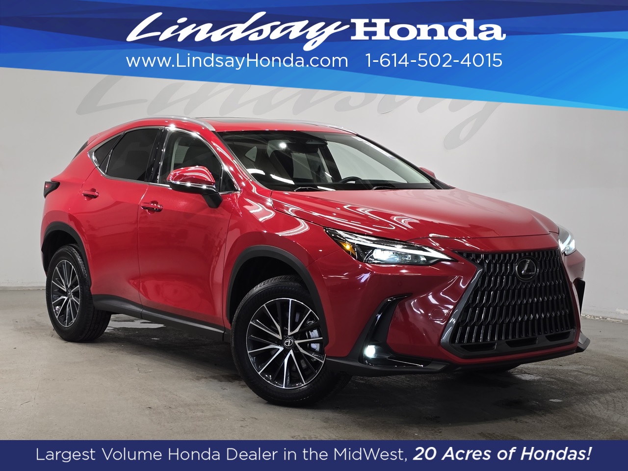 2024 Lexus NX 350's photo