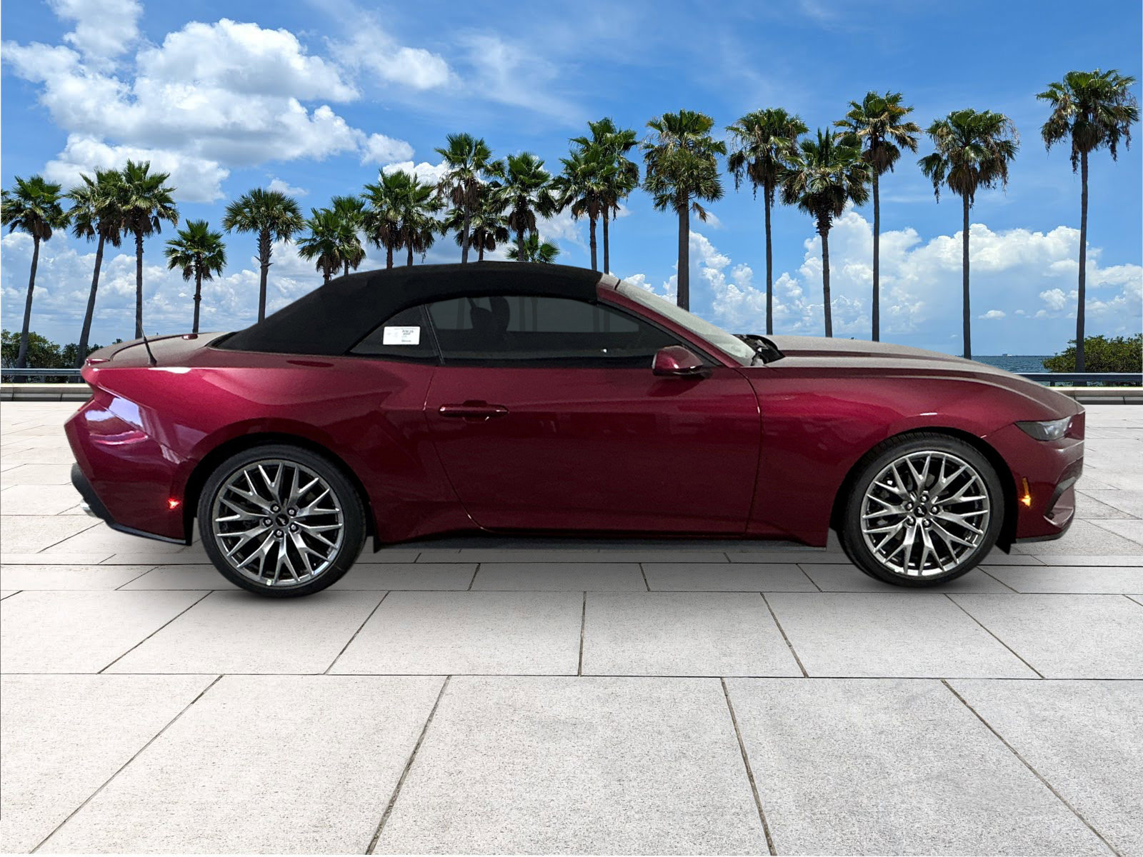 2025 Ford Mustang EcoBoost Premium photo 8