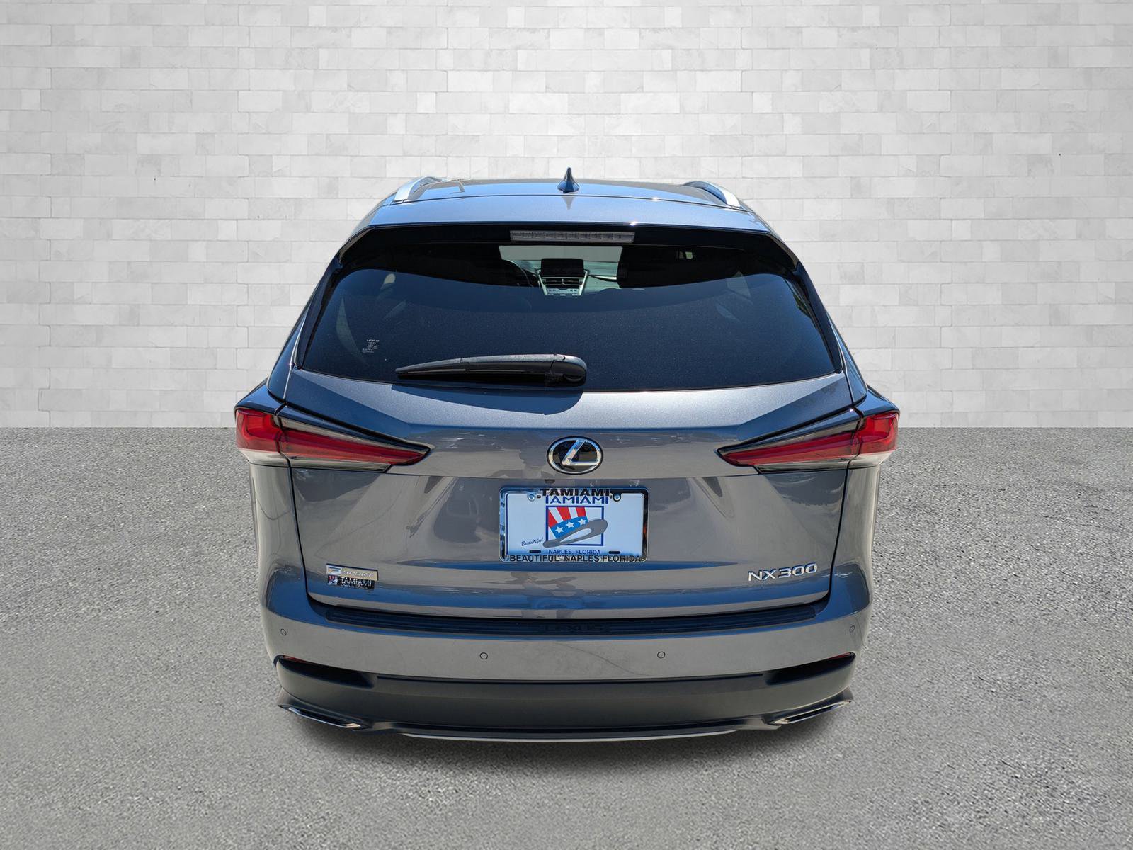 2019 Lexus NX 300 F SPORT photo 3