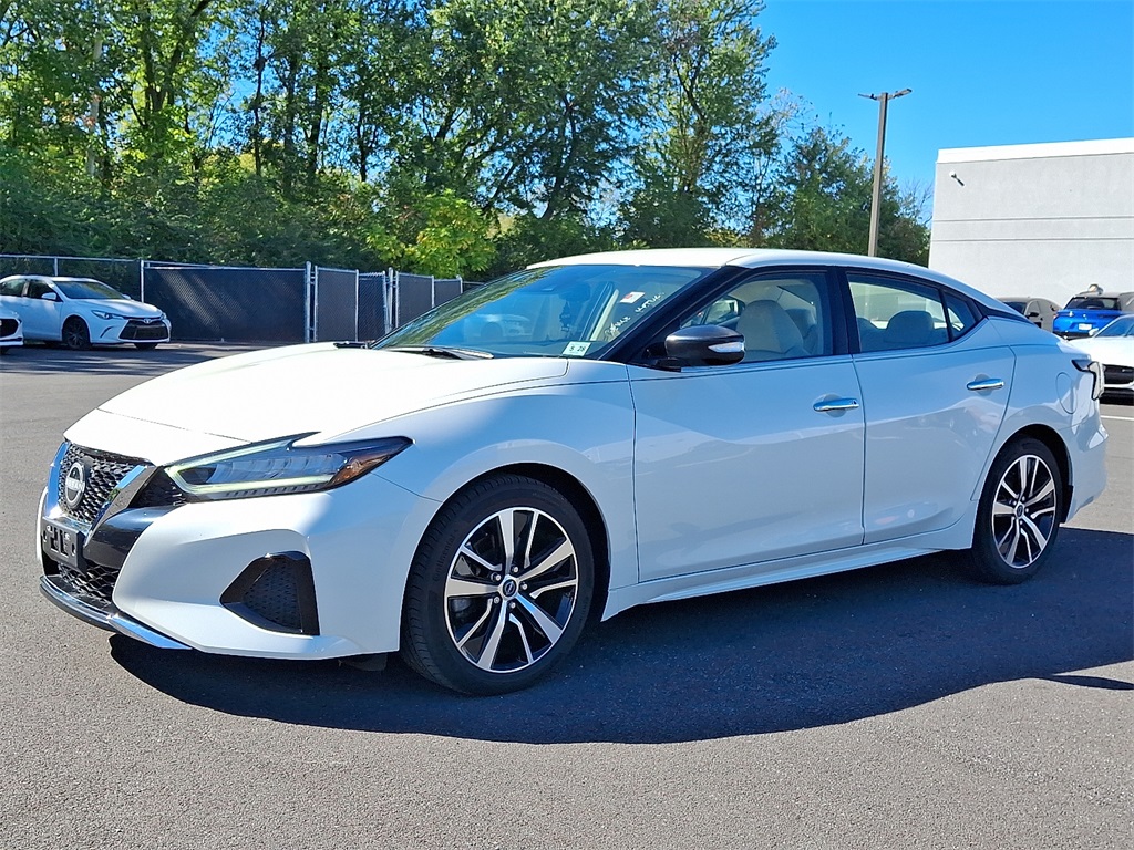 2023 Nissan Maxima SV photo 3
