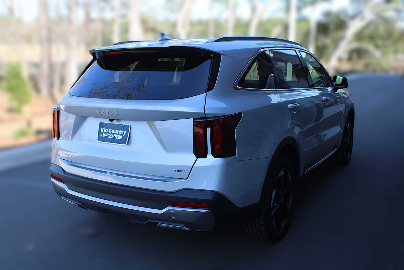 2025 Kia Sorento Hybrid EX photo 6