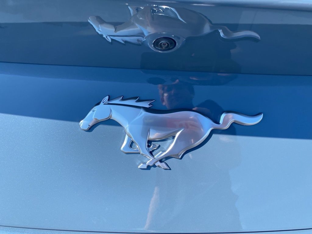2025 Ford Mustang EcoBoost photo 29