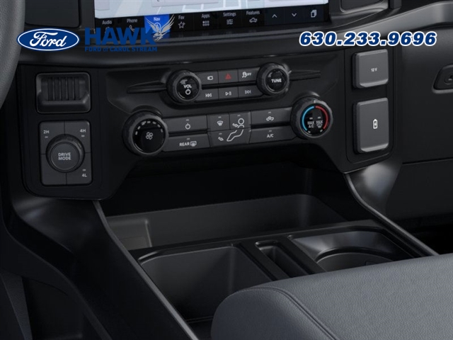 2025 FORD F-150 - Image 15