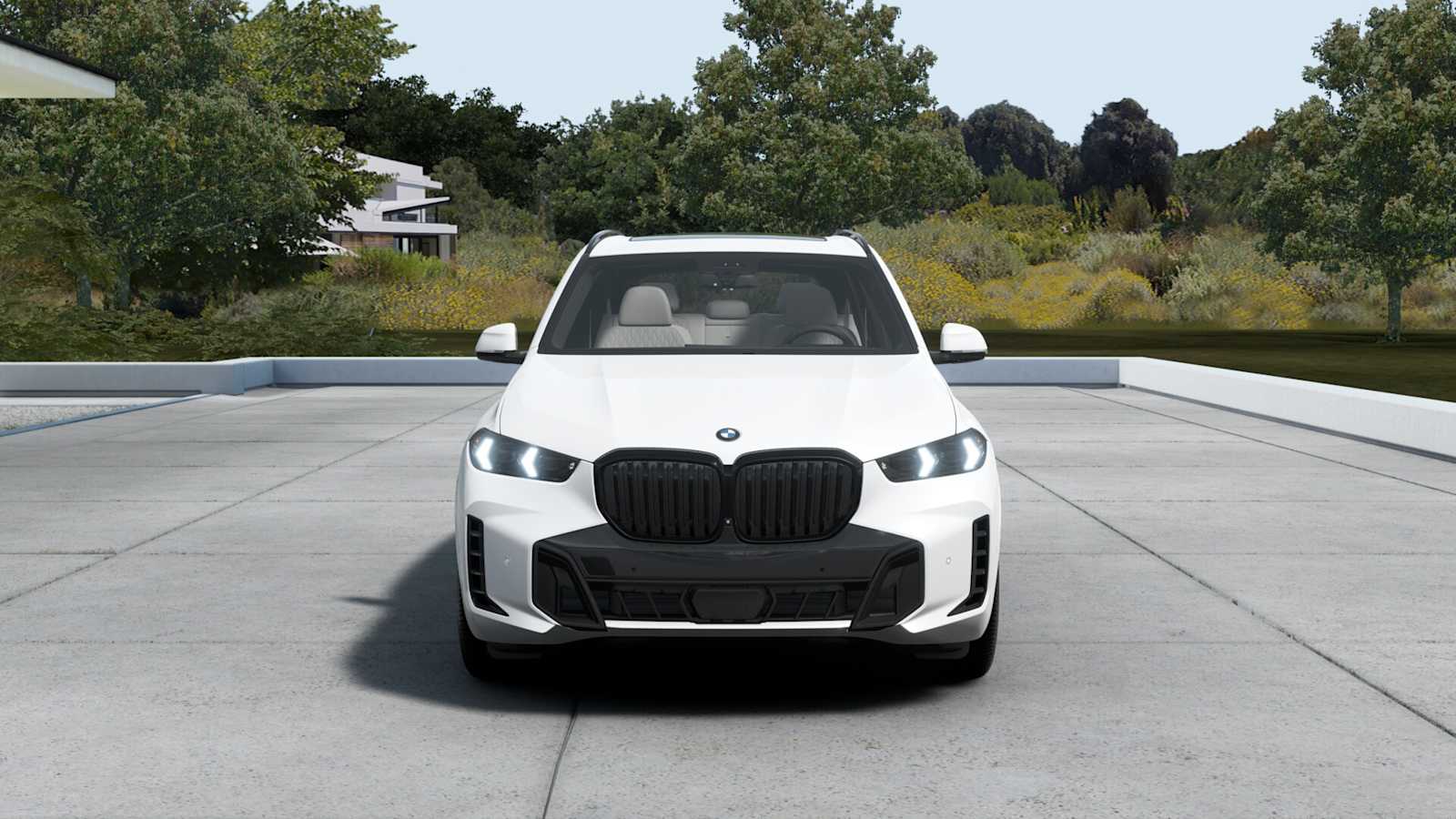 2026 Bmw X5 xDrive50e photo 3