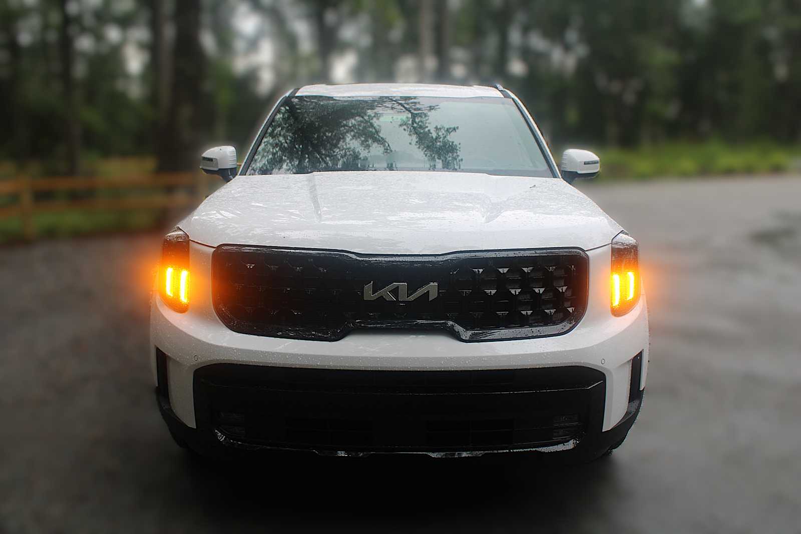 2025 Kia Telluride SX Prestige X-Line photo 16