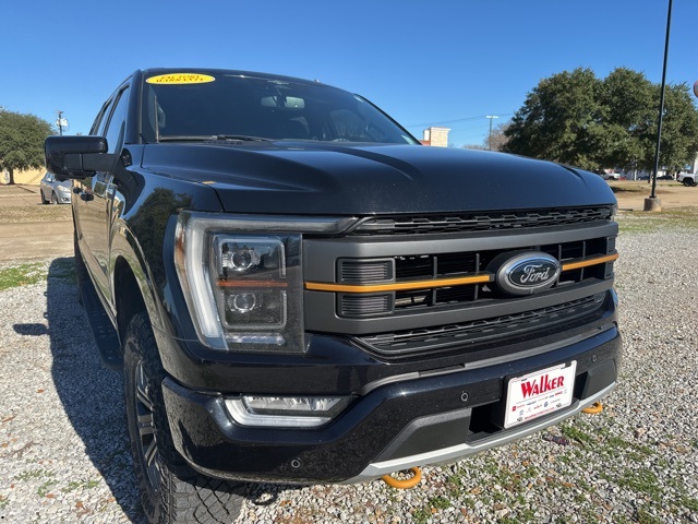 2023 Ford F-150 Tremor's photo