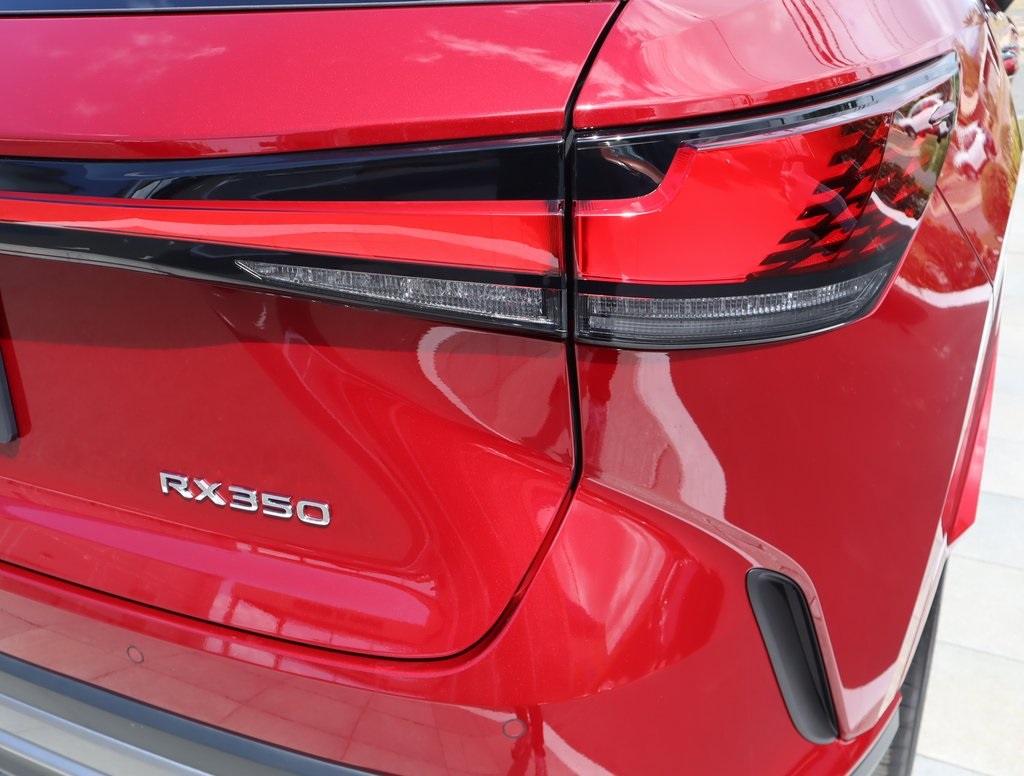 2025 Lexus RX 350 photo 19