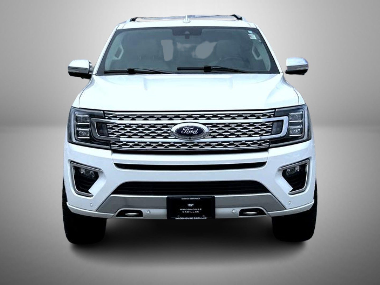 2021 Ford Expedition Platinum photo 2