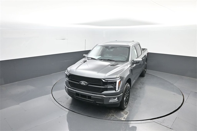 2025 Ford F-150 Platinum photo 19