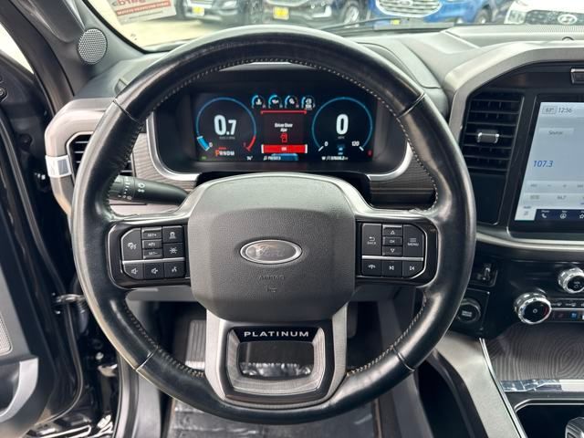2023 Ford F-150 Platinum photo 7