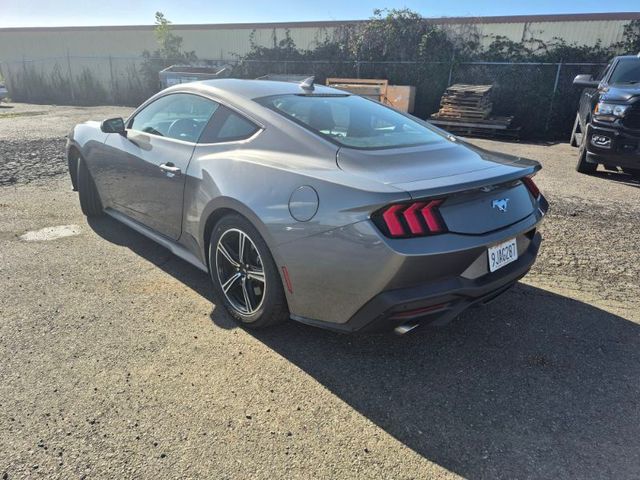 2024 Ford Mustang EcoBoost photo 3