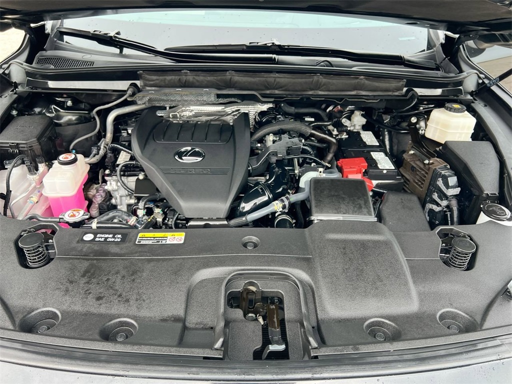 2024 Lexus RX 350 Premium photo 10