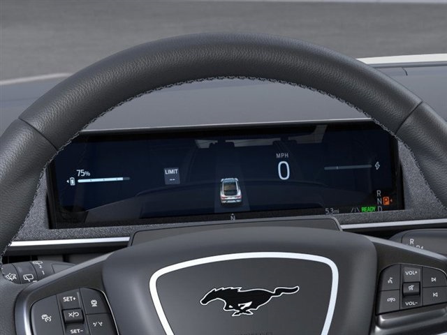 2025 Ford Mustang Mach-E GT photo 12