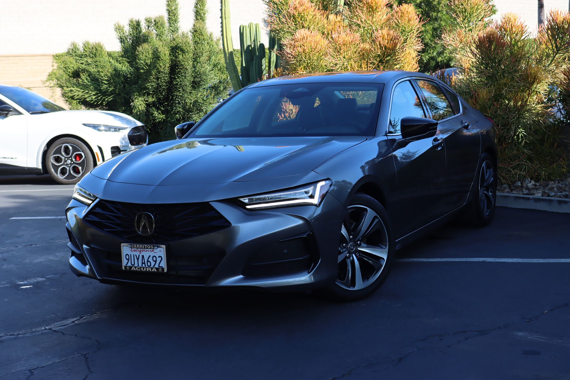 2025 Acura TLX Technology Package's photo