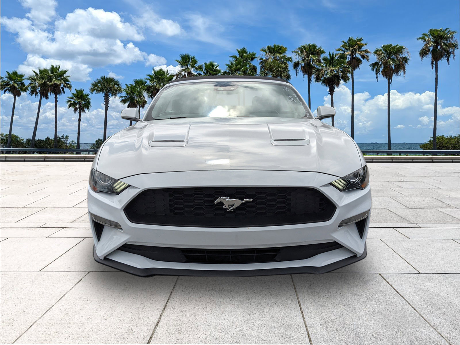 2023 Ford Mustang EcoBoost Premium photo 3