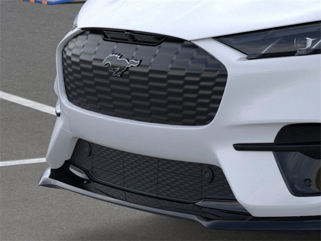 2025 Ford Mustang Mach-E GT photo 15